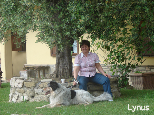 Lynus - cane in vacanza in Umbria