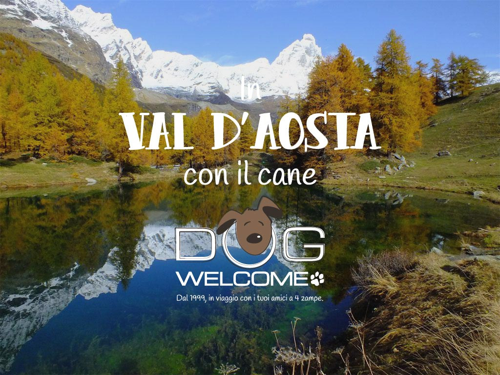 In Val d'Aosta in montagna con il cane in vacanza o per un weekend