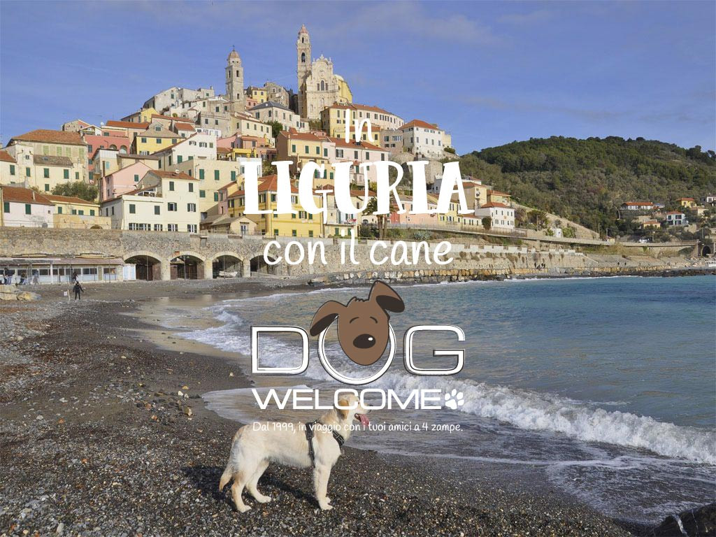 Vacanze e weekend con il cane in Liguria
