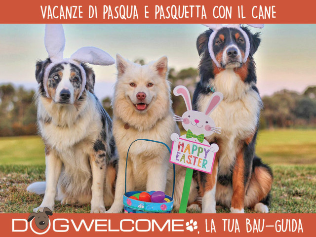 Weekend di Pasqua e Pasquetta 2025 in vacanza con il cane - idee e offerte
