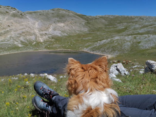 Trekking con il cane al Lago della Duchessa - Rieti, Lazio