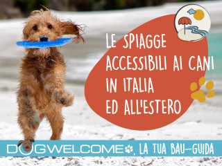Spiagge per cani pet friendly libere, attrezzate, dog e bau beach in Italia e all'estero