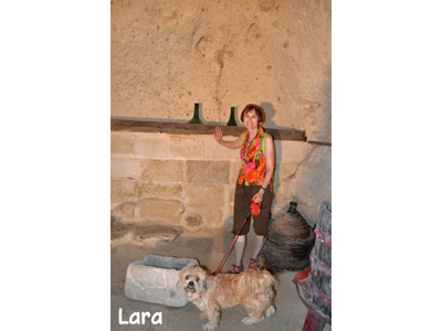 Lara di Gabriella, cane in gita ai sassi di Matera