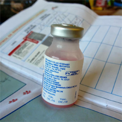 Vaccino antirabbico made in Uruguay diffuso a Cuba