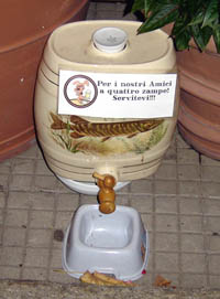 Distributore acqua per cani ad Arona