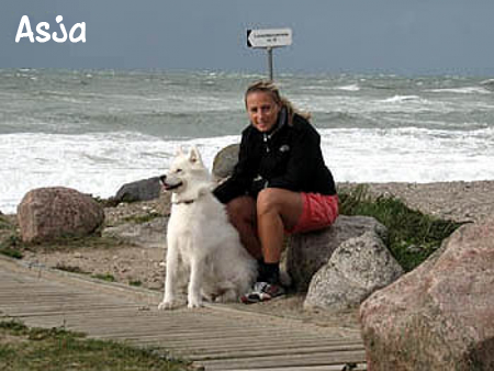 Asja, cane in vacanza in Danimarca