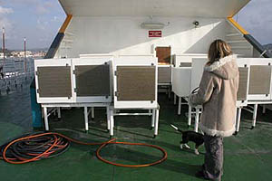 Le gabbie-canile sui traghetti Balearia