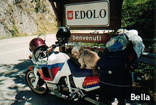 Bella - cane in moto