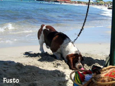 Fusto - cane in vacanza in Puglia
