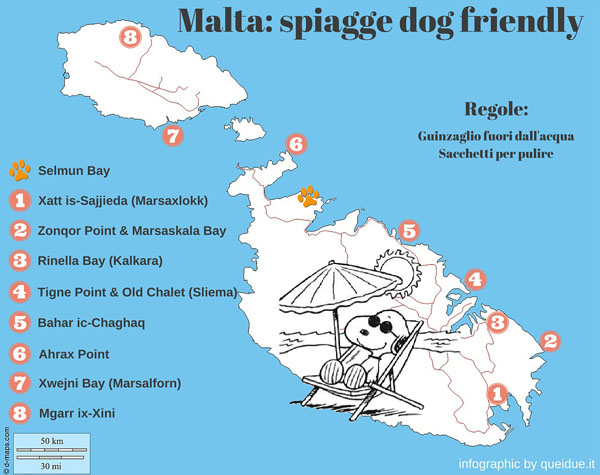 Malta, le spiagge cani ammessi dog beach
