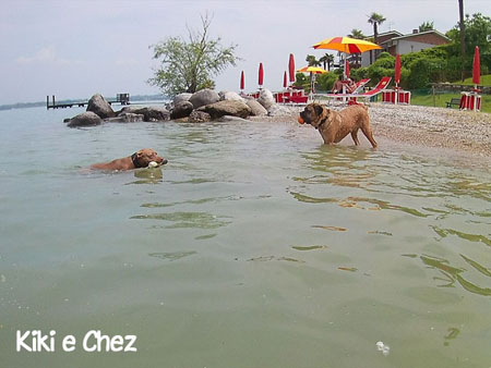 In vacanza con il cane al Lago di Garda - Kiki e Chez