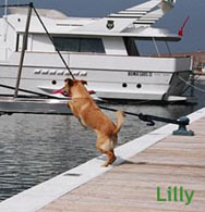 Lilly di Raffaella e Marco balza sullo yacht di amici