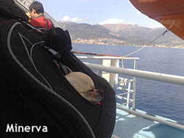 Minerva viaggia verso la Corsica