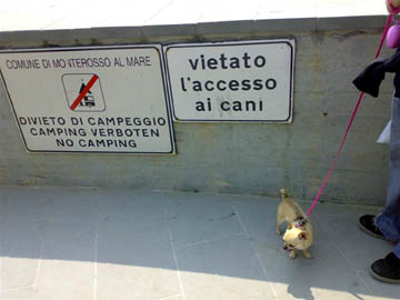 Divieto cani in spiaggia a Monterosso