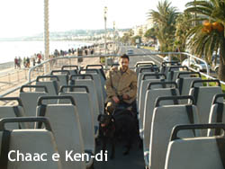 Il bus turistico a Nizza