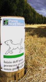 Parco NOrd Milano cani ammessi anche senza guinzaglio