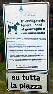 Regole cani a Pietrasanta