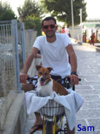 Sam di Paolo: cane in bici a Riccione