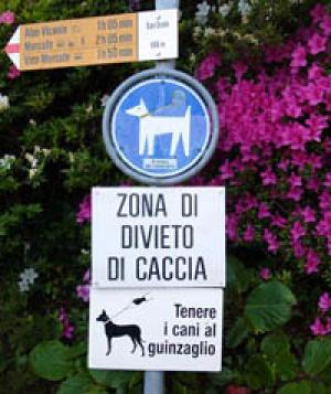 Parco Botanico San Grato Carona cani ammessi