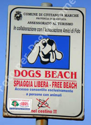 Spiaggia cani ammessi Civitanova Marche