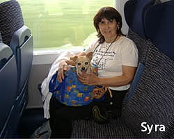 Syra in treno