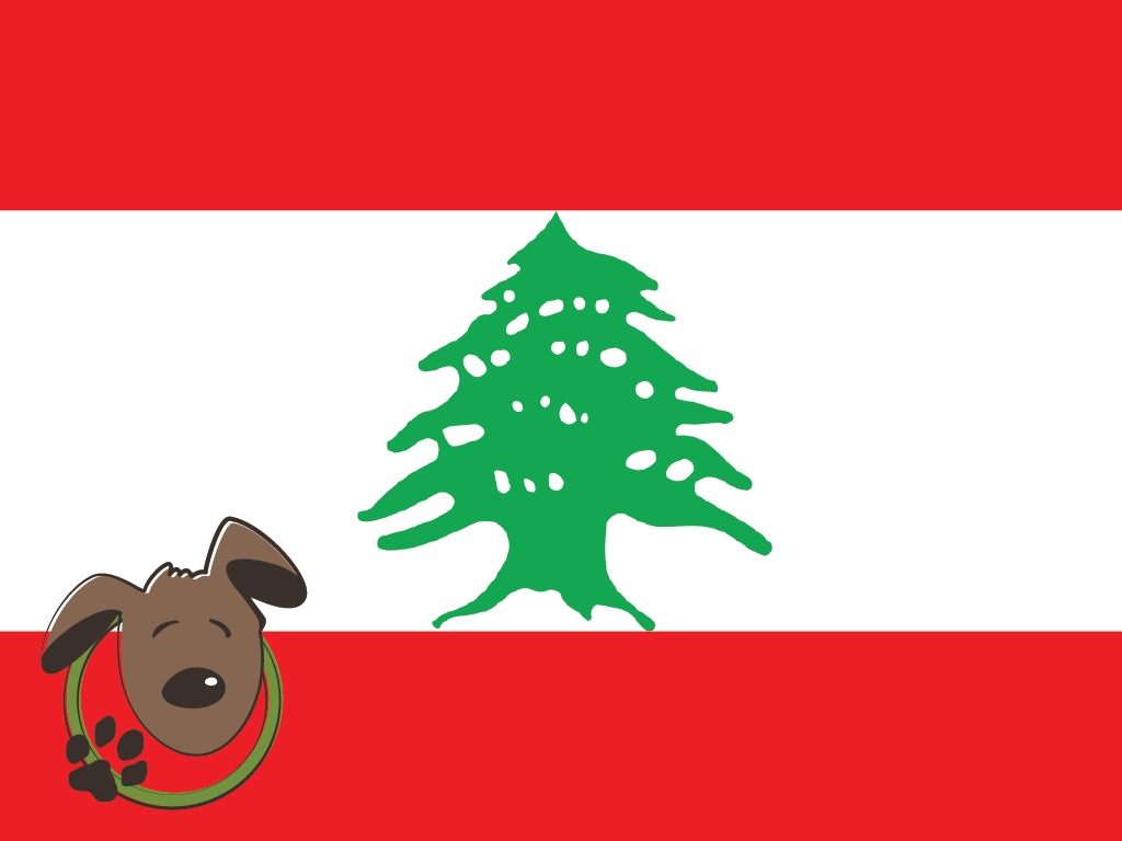 Le norme per recarsi in Libano con un cane, un gatto ed altri animali domestici