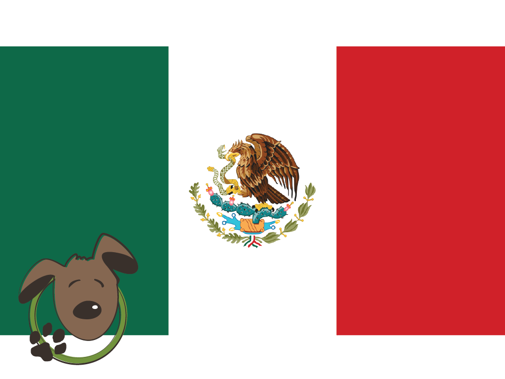 Le norme per recarsi in Messico con un cane, un gatto ed altri animali domestici