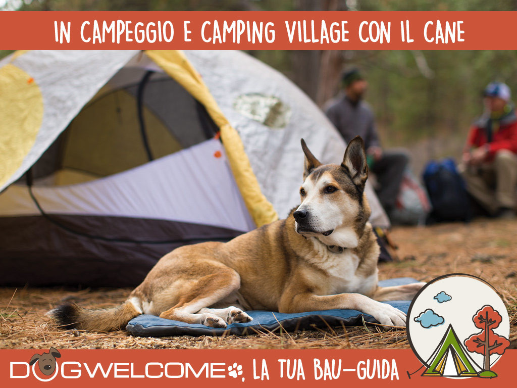 Campeggi e Camping Village cani animali ammessi e benvenuti