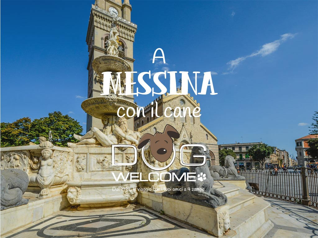 Vacanze e weekend con il cane a Messina e provincia