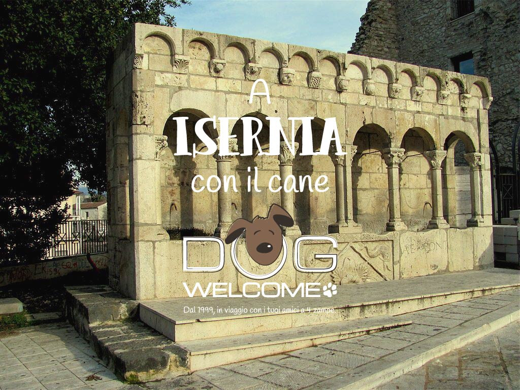 Vacanze e weekend con il cane a Isernia