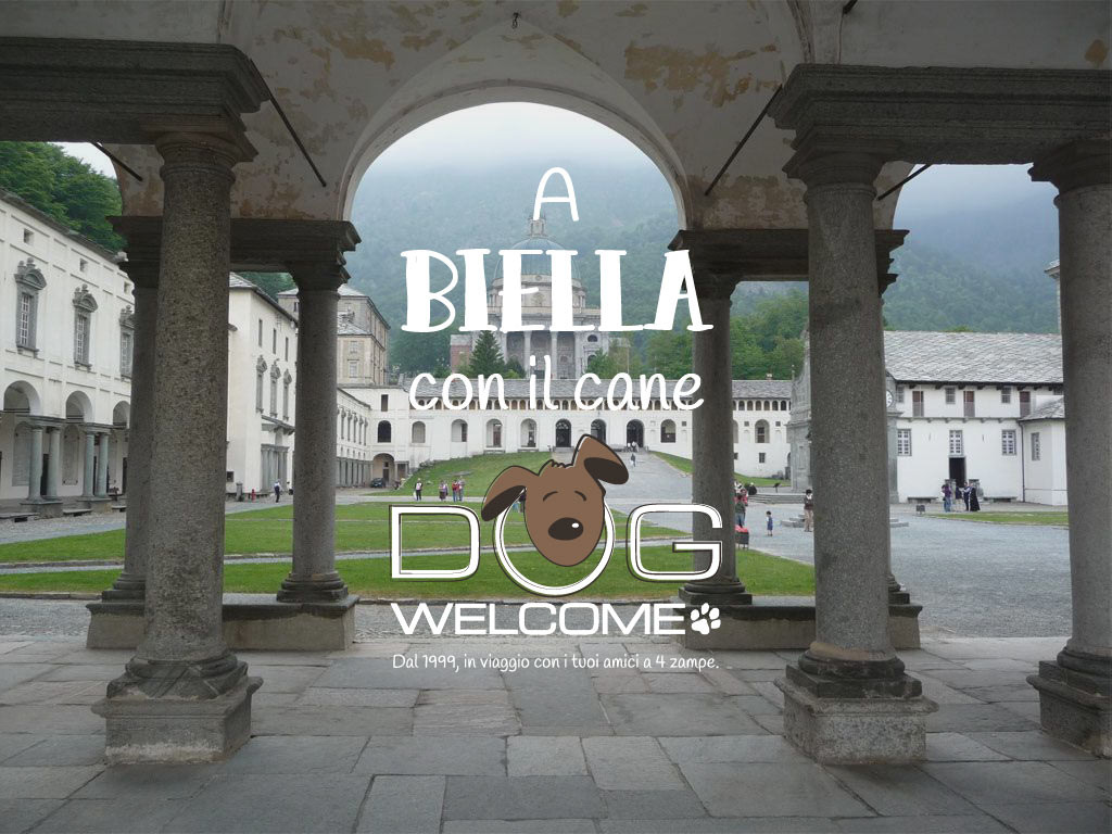Vacanze e weekend con il cane a Biella e provincia