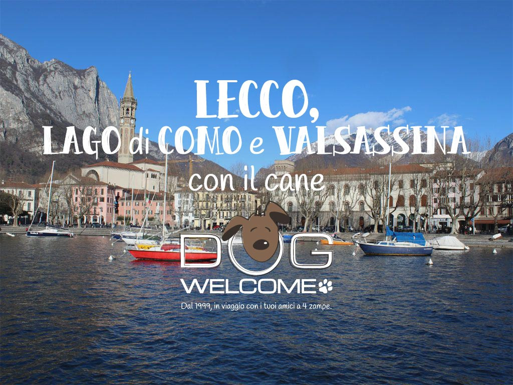 Vacanze e weekend con il cane a Lecco, Valsassina, Lago di Como