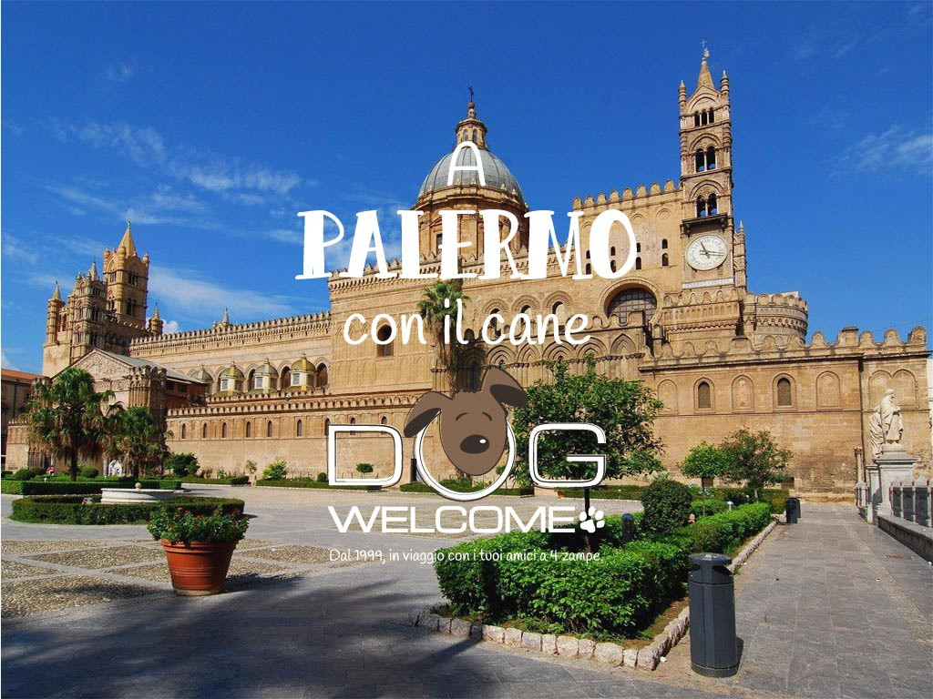 Vacanze e weekend con il cane a Palermo e provincia