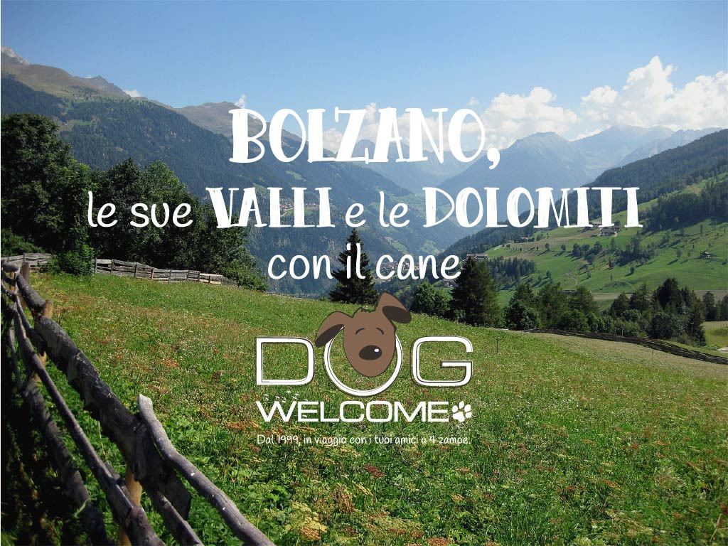 Vacanze e weekend con il cane in Alto Adige, Bolzano, Dolomiti e valli atesine