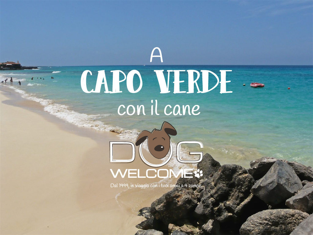 Vacanze con il cane a Capo Verde