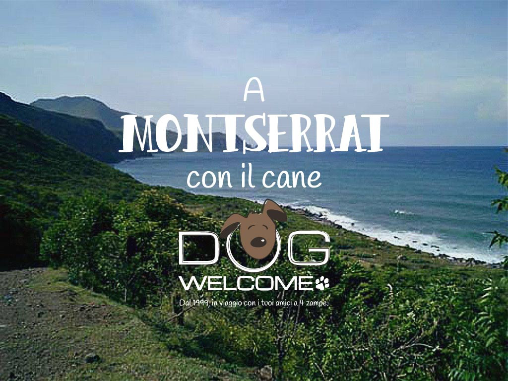 A Montserrat con il cane