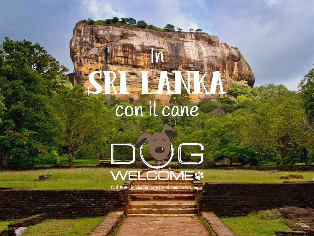 A Sri Lanka con il cane