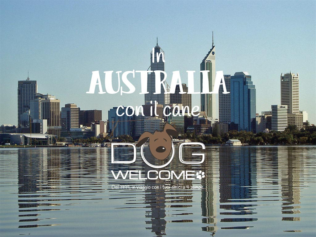 In Australia con il cane