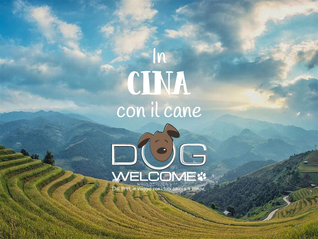Con il cane in Cina