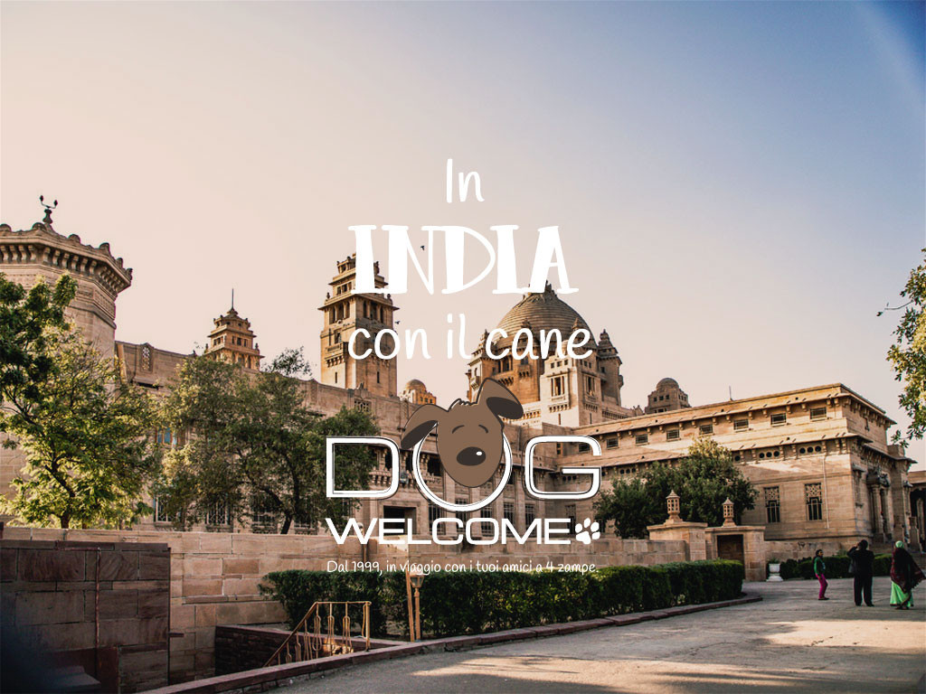 In India con il cane