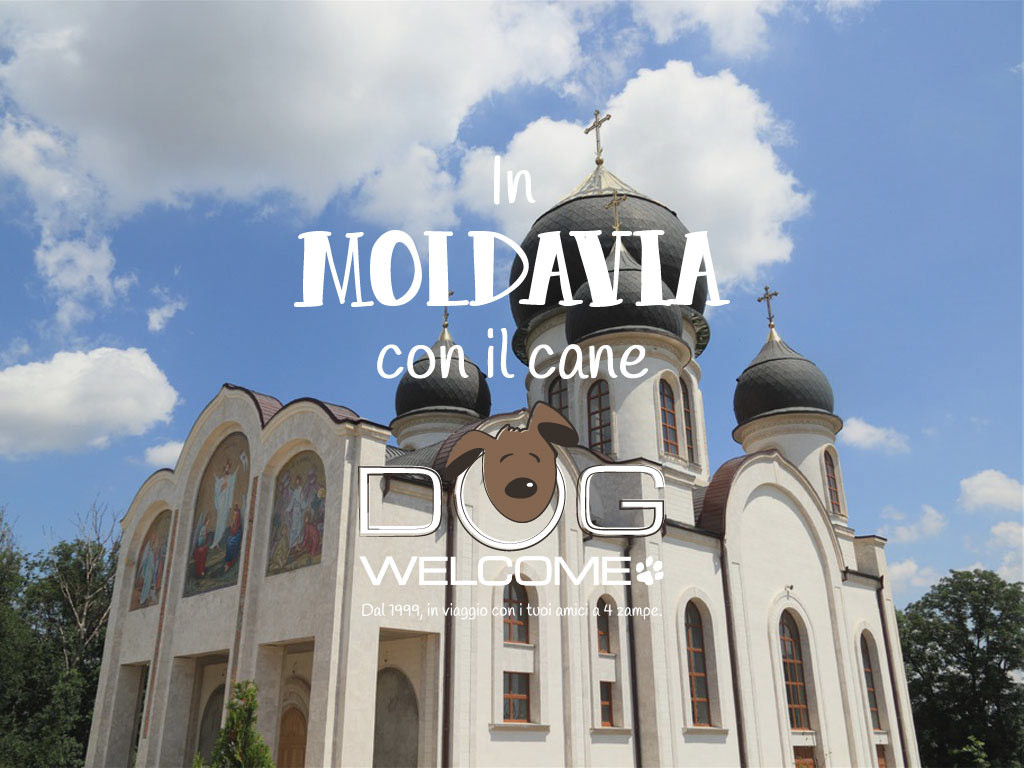 In Moldavia con il cane