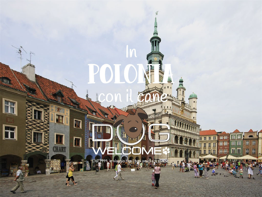 Vacanze, viaggi e weekend con il cane in Polonia
