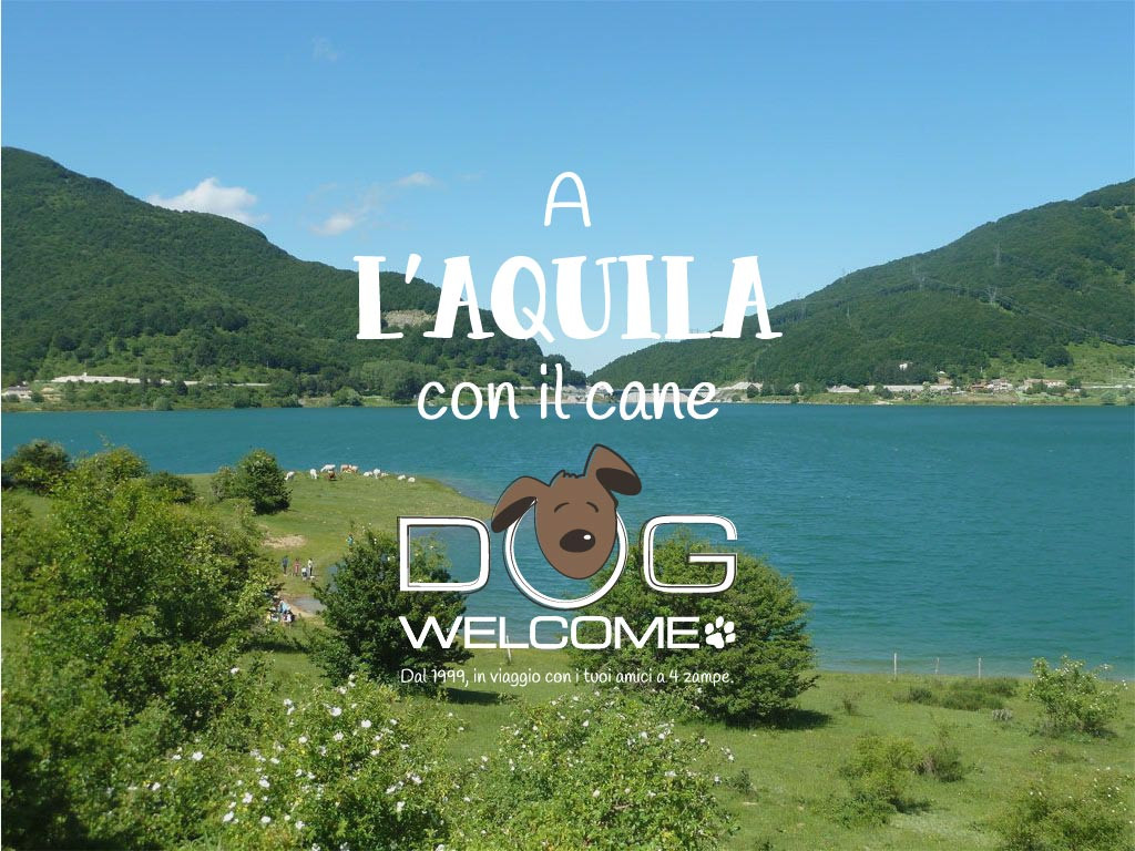 A L'Aquila e Parco d'Abruzzo con il cane in vacanza o per un weekend