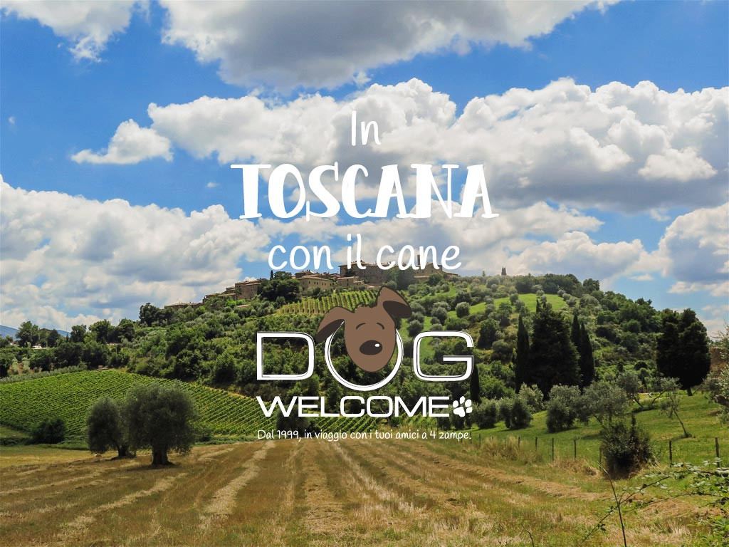Vacanze e weekend in Toscana con il cane