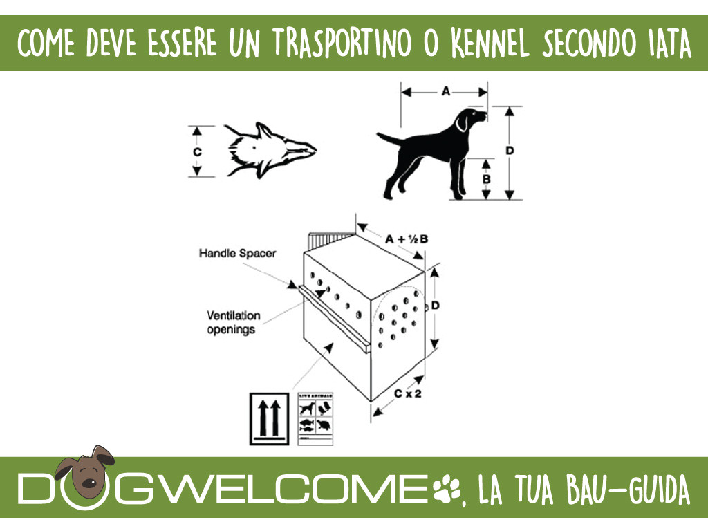 Trasportino kennel a norma IATA per viaggiare in aereo con animali domestici in stiva