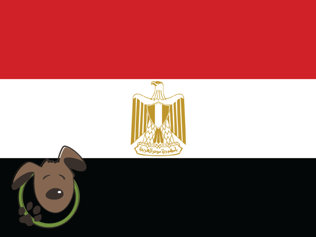 Le norme per recarsi in Egitto con un cane, un gatto ed altri animali domestici