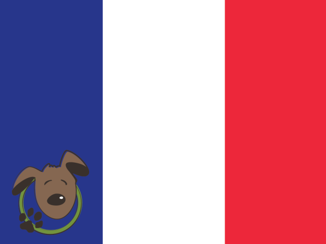 Le norme per recarsi in Francia con un cane, un gatto ed altri animali domestici