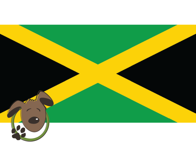 Le norme per recarsi in Giamaica con un cane, un gatto ed altri animali domestici