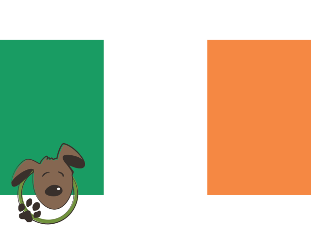 Le norme per recarsi in Irlanda con un cane, un gatto ed altri animali domestici