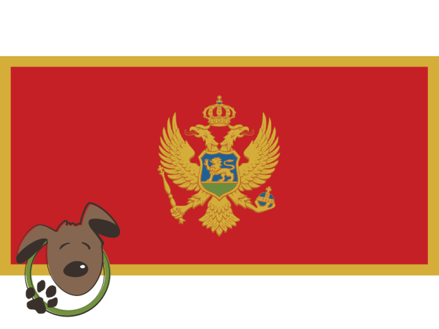 Le norme per recarsi in Montenegro con un cane, un gatto ed altri animali domestici
